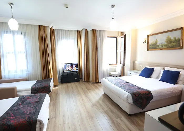 Arven 3* اسطنبول